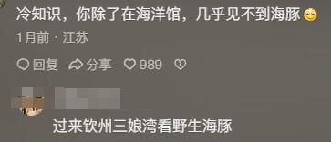 动物!看完分享直接颠覆认知笑到停不下来澳门新葡京网页海豚竟是海里最色的哺乳(图2)